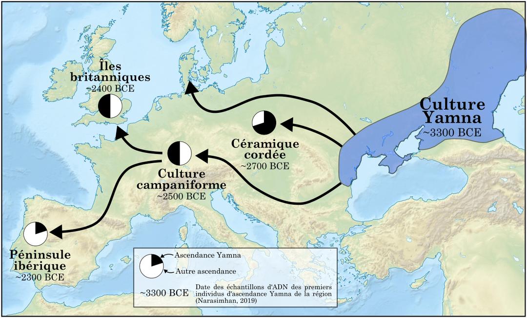 L'origine des langues indo-européennes enfin déchiffrée grâce à des analyses ADN