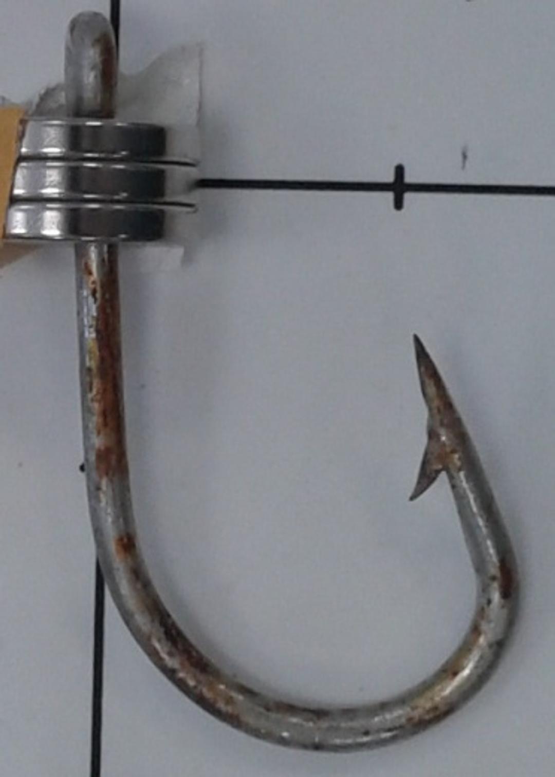 Décapsuleur Requin Vache - Mémoires D'Océans