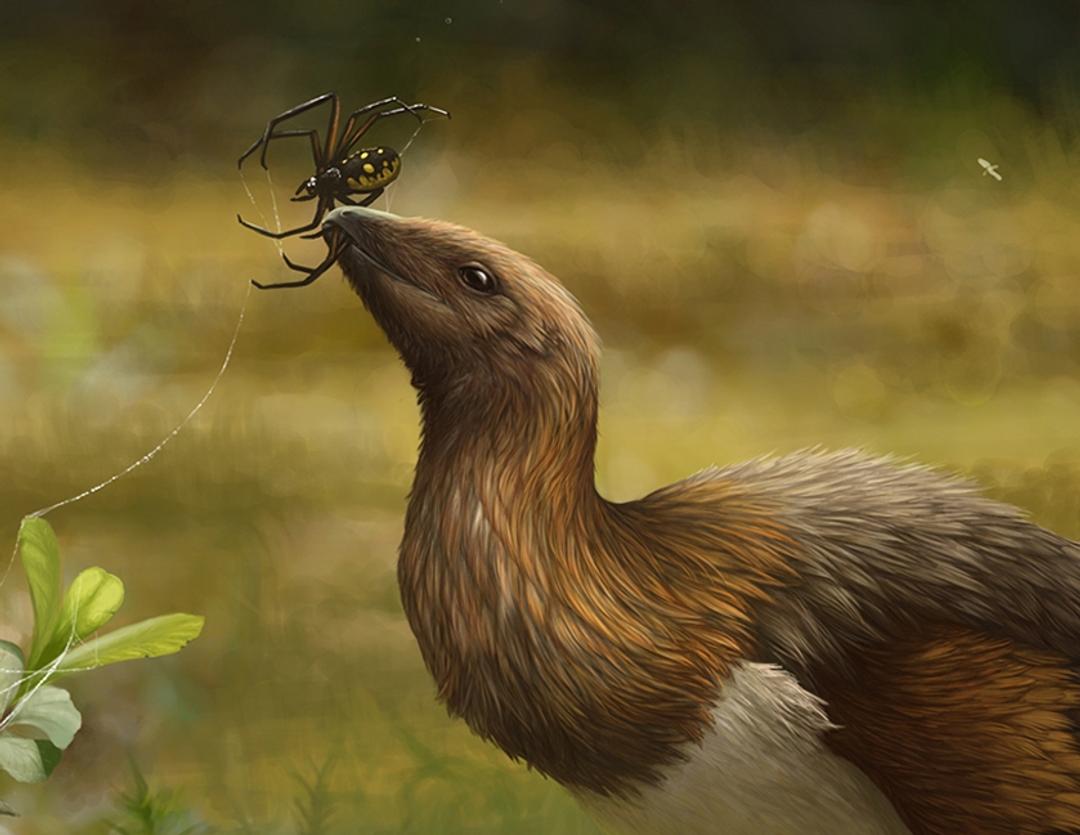 Image vectorielle Pirates Route Crâne Humain Chapeau Pirate Avec Pistons  Croisés Ailes par ©art-l@i.ua - 230179470, image size:1080x835