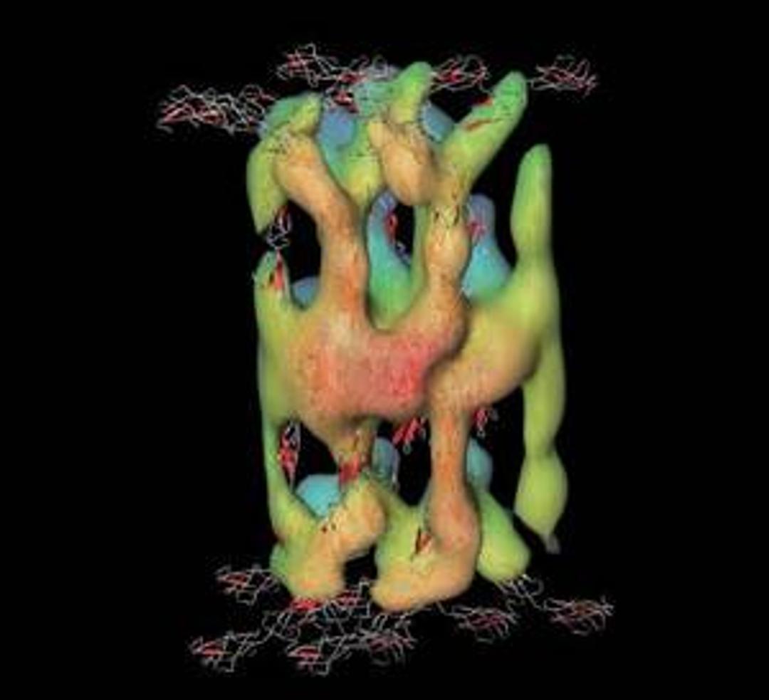 ait_tahar - Université Mouloud Mammeri de Tizi Ouzou, image size:1080x983