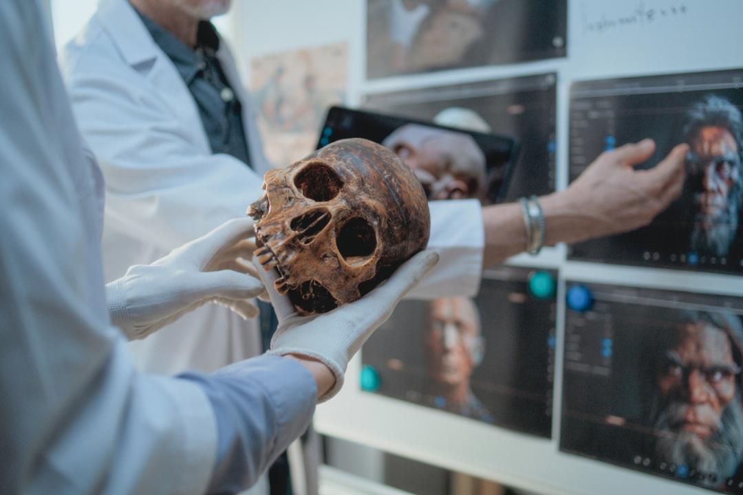 Ces crânes vietnamiens de 2 000 ans cachaient un secret de beauté que certains pratiquent encore aujourd'hui