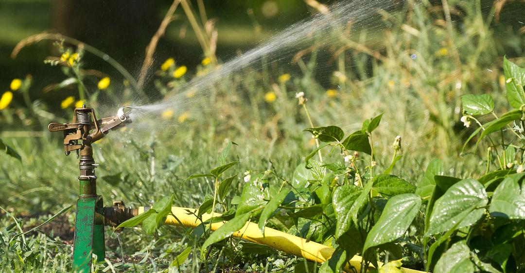 L'arrosage automatique :  la goutte prs !