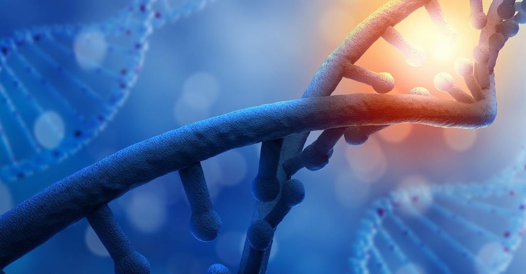 Dfinition du mot poison, antidote et mode d'action