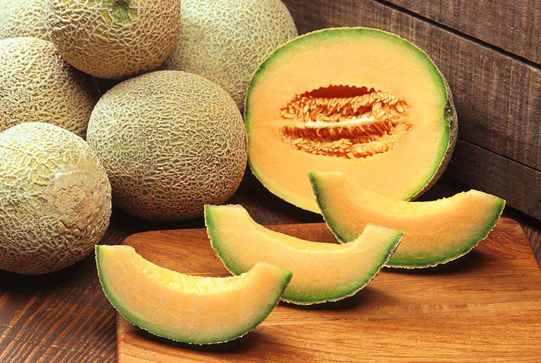 Quand et comment tailler les plants de melons — free download