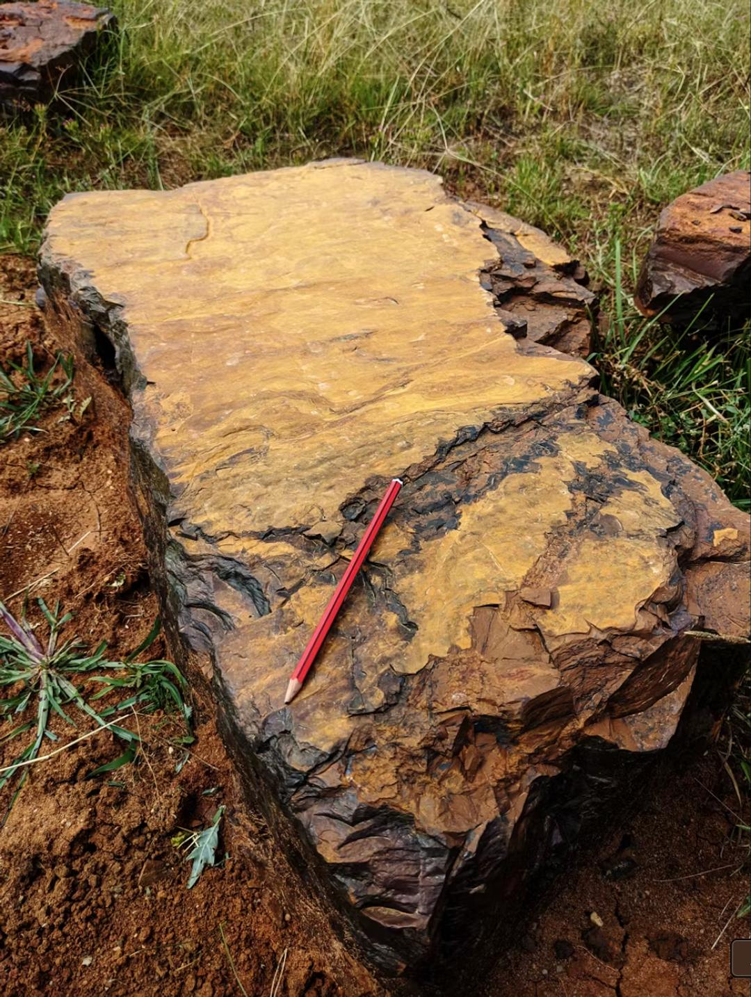 Ces étranges roches rouges australiennes cachent des fossiles d'une  précision impossible, image size:1080x1434
