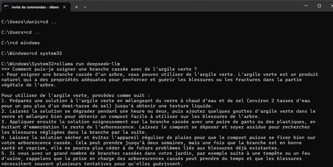 DeepSeek : comment l'installer en local et l'utiliser sans connexion ...