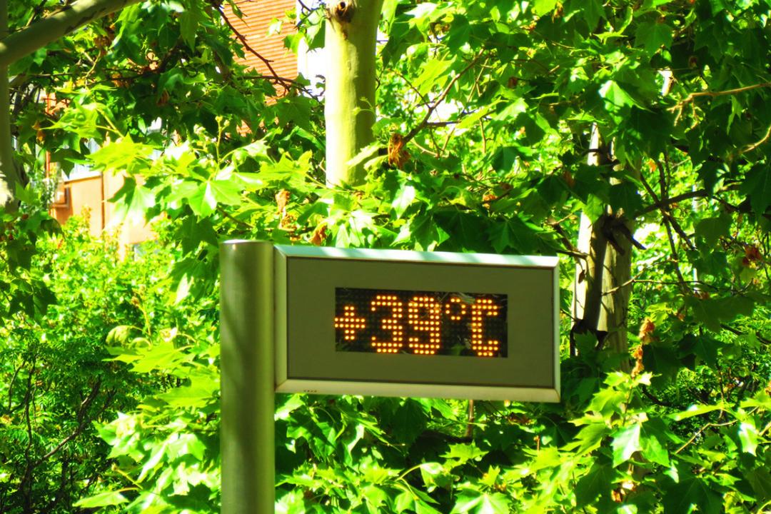 Voici pourquoi 39 °C ne sont pas dangereux partout pareil selon les spécialistes de la santé