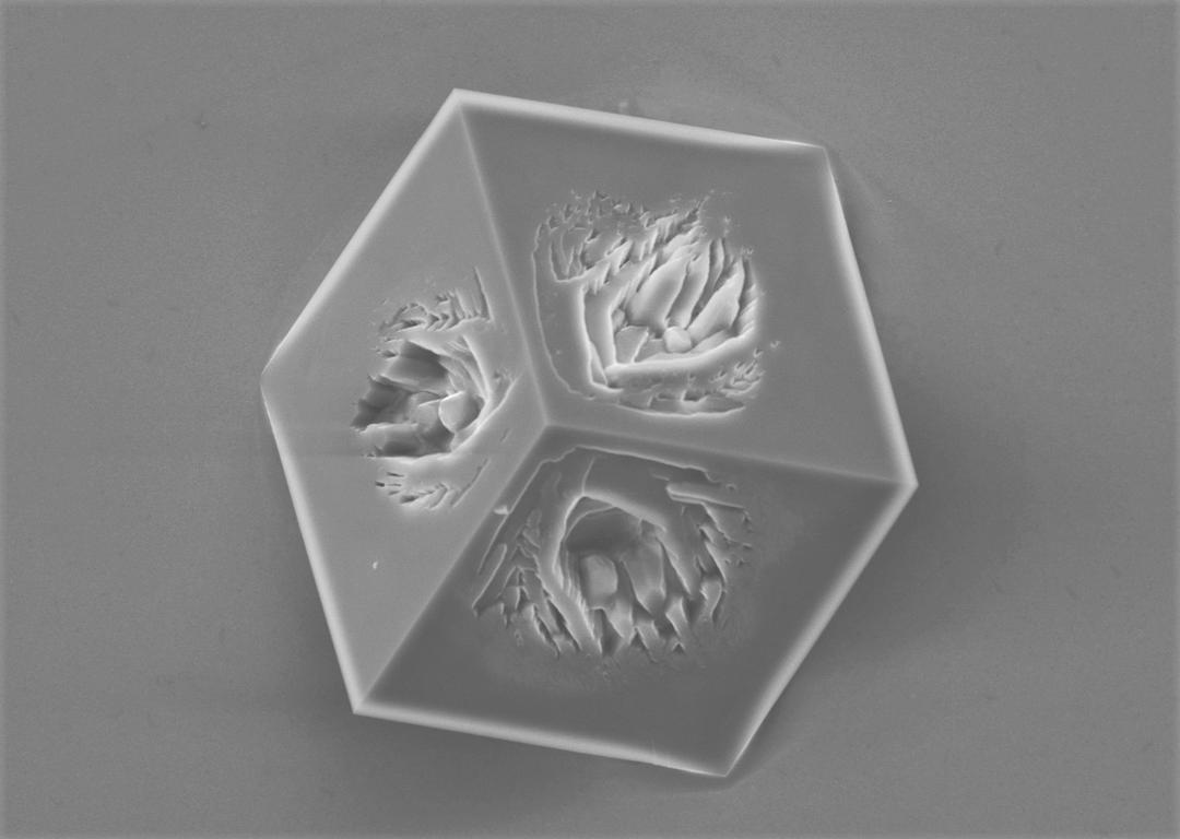 Une exploration microscopique de la Terre en 7 images étonnantes