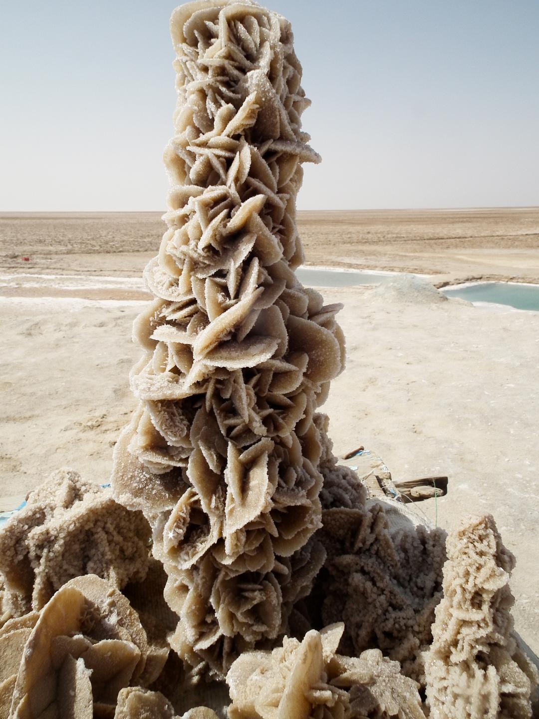 Comment se forment les roses des sables — free download