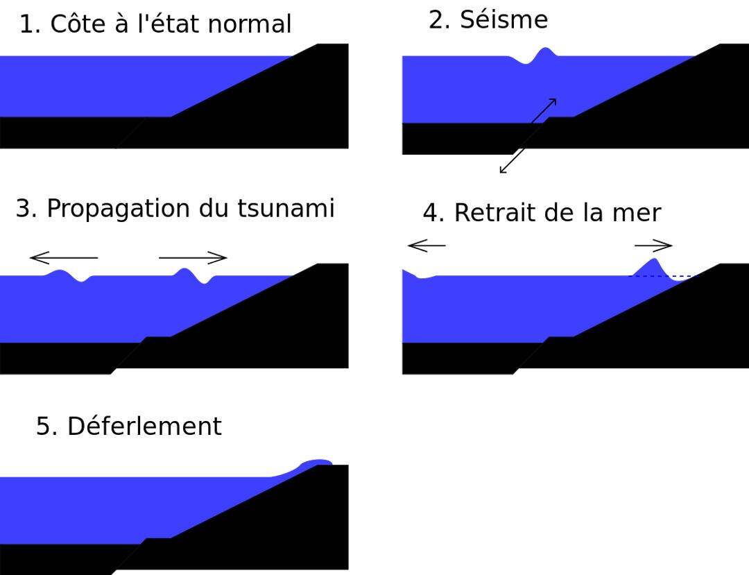 Comment sont générés les tsunamis