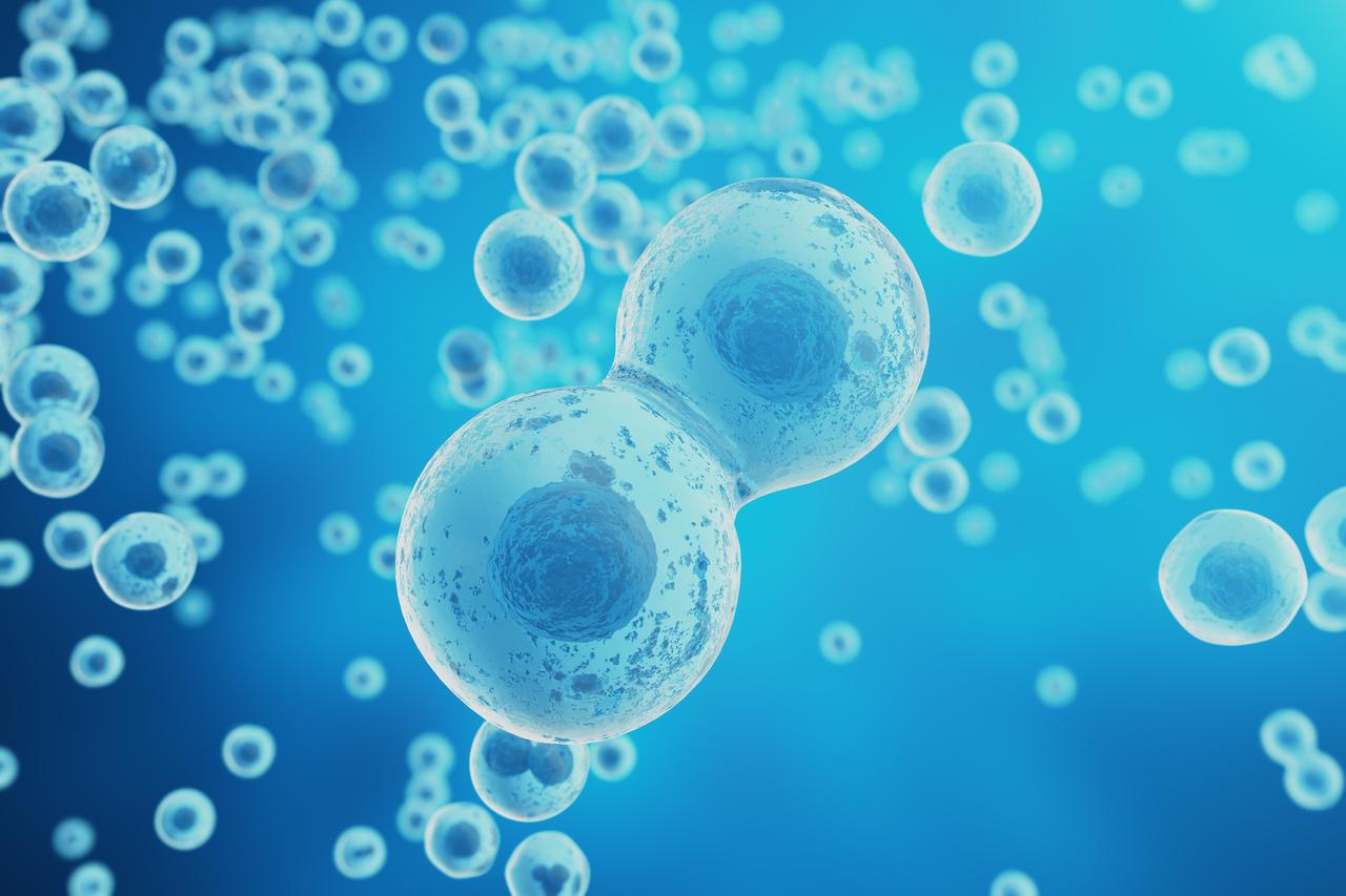 l'Architecture D'aujourd'hui 1939-04: Iss 4, image size:1280x853