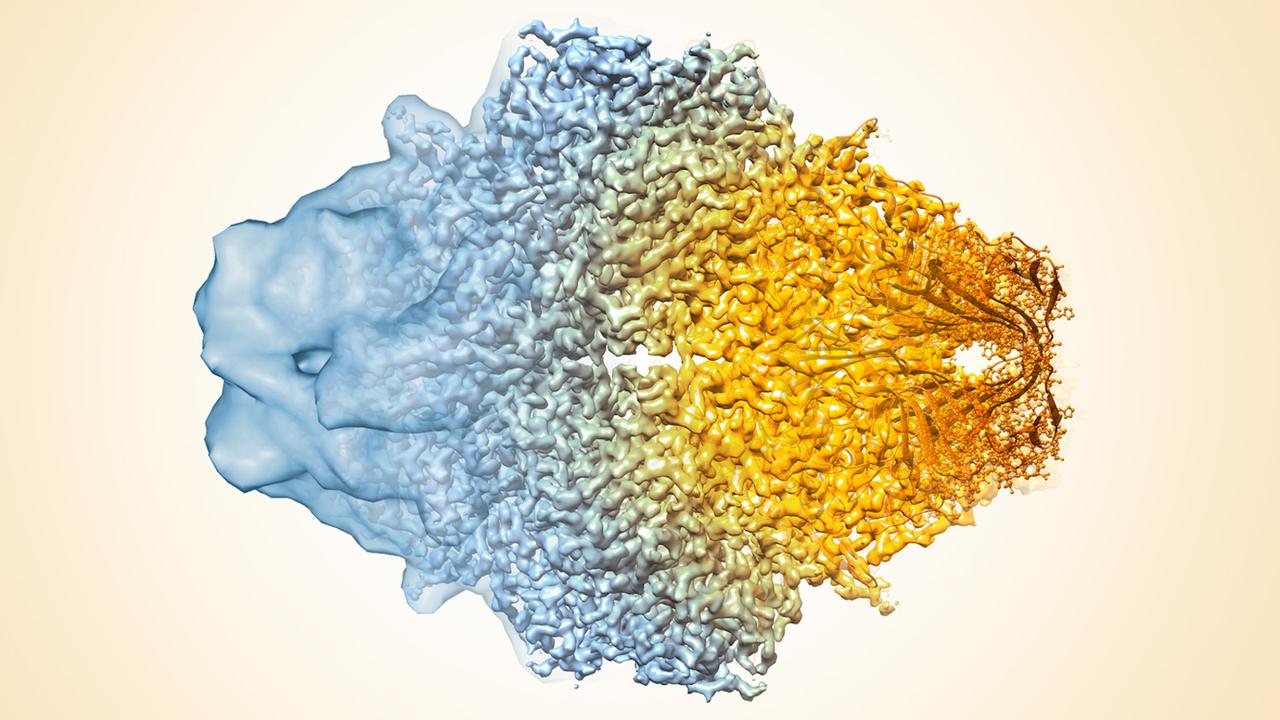 Titan Krios, le microscope le plus puissant du monde, image size:1280x720