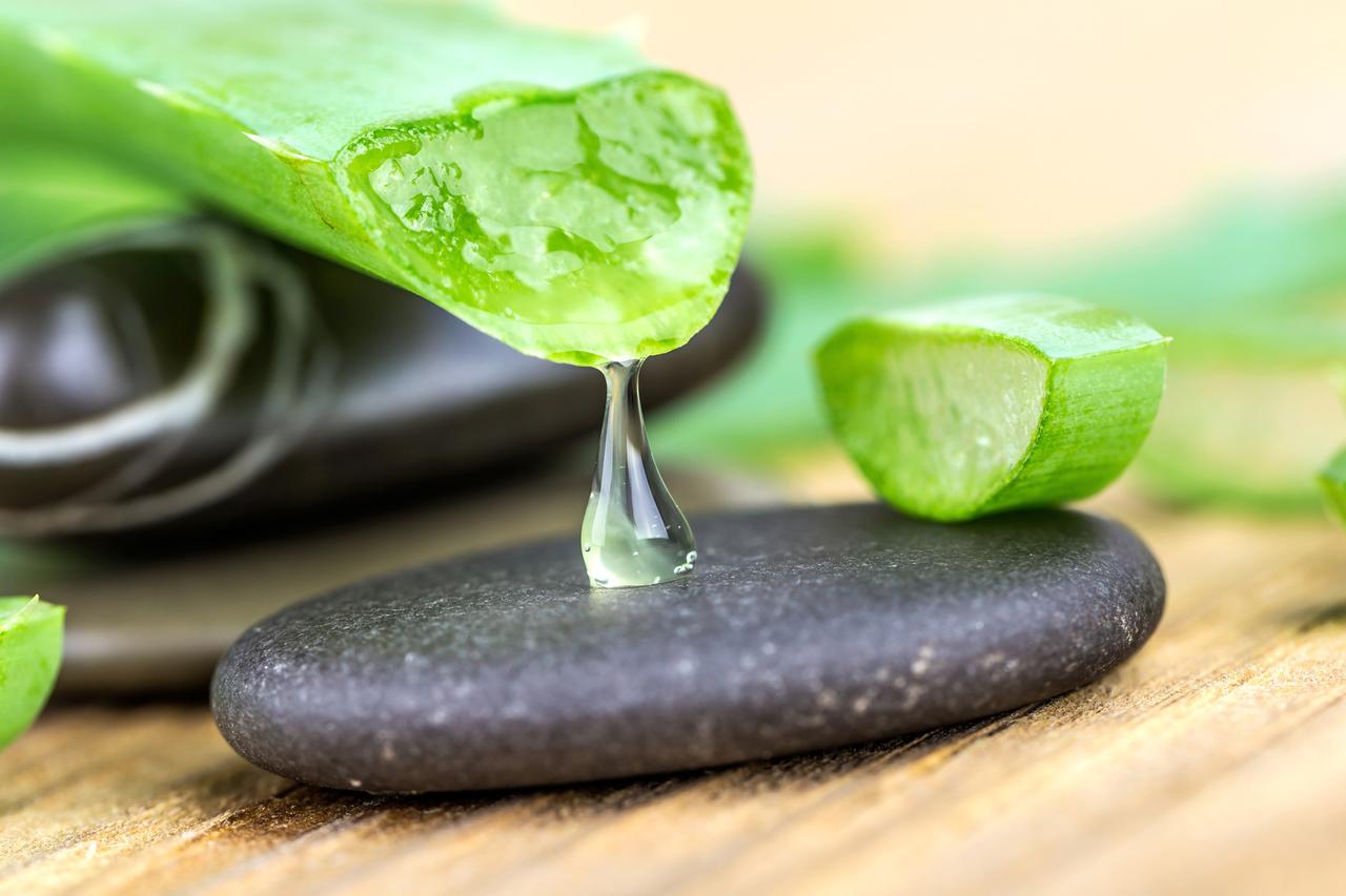 aloe vera direkt auf gesicht Himalaya Aloe Vera Feuchtigkeitsgel Gesicht & Krper
