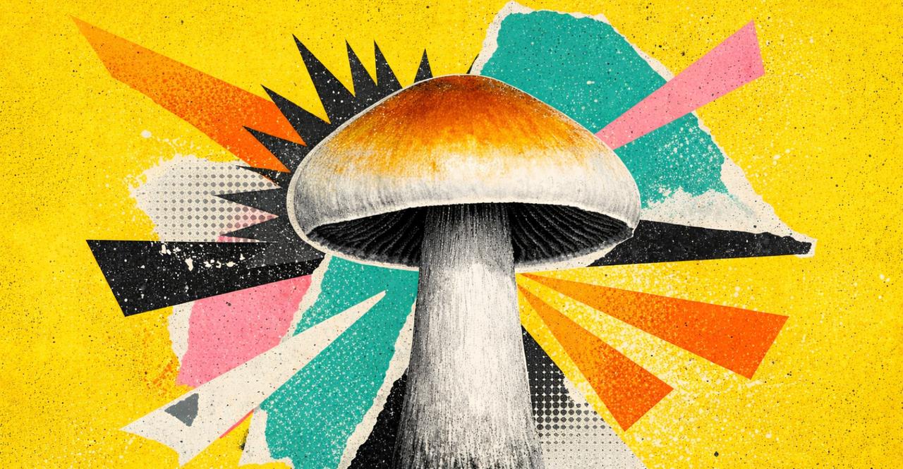 Une découverte en Afrique relance le mystère de l’origine des « champignons magiques »