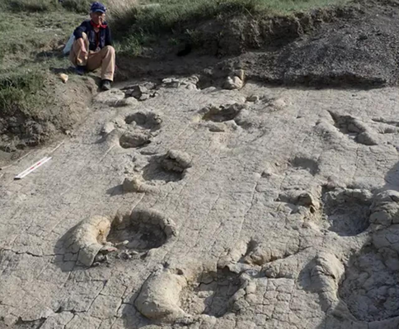 Ces empreintes géantes découvertes en Mongolie forcent les chercheurs à revoir l’histoire des dinosaures dans cette région