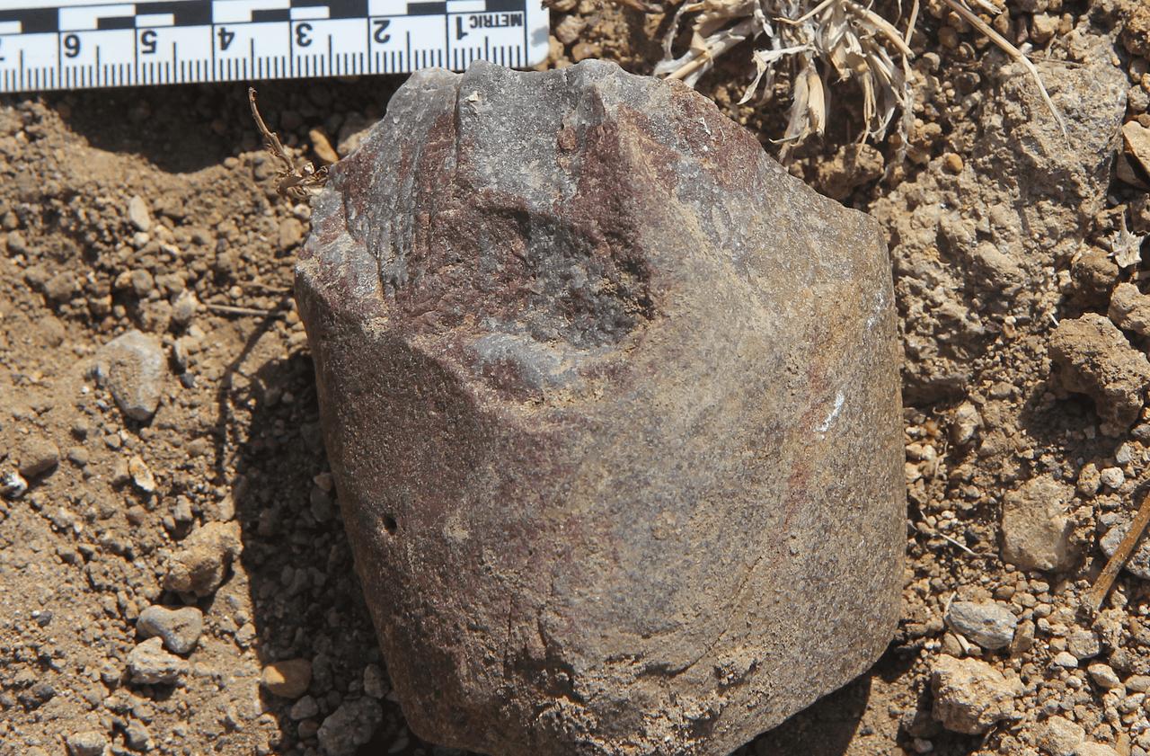 Un nucléus mis au jour par l&#39;érosion sur le site de Nyayanga, en 2015.&amp;nbsp;©&amp;nbsp;T.W. Plummer, Homa Peninsula&amp;nbsp;Paleoanthropology Project