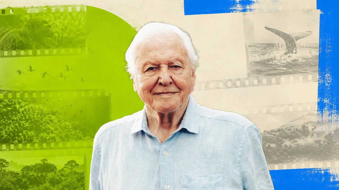 David Attenborough a 100 ans : comment il est devenu la voix la plus célèbre du vivant