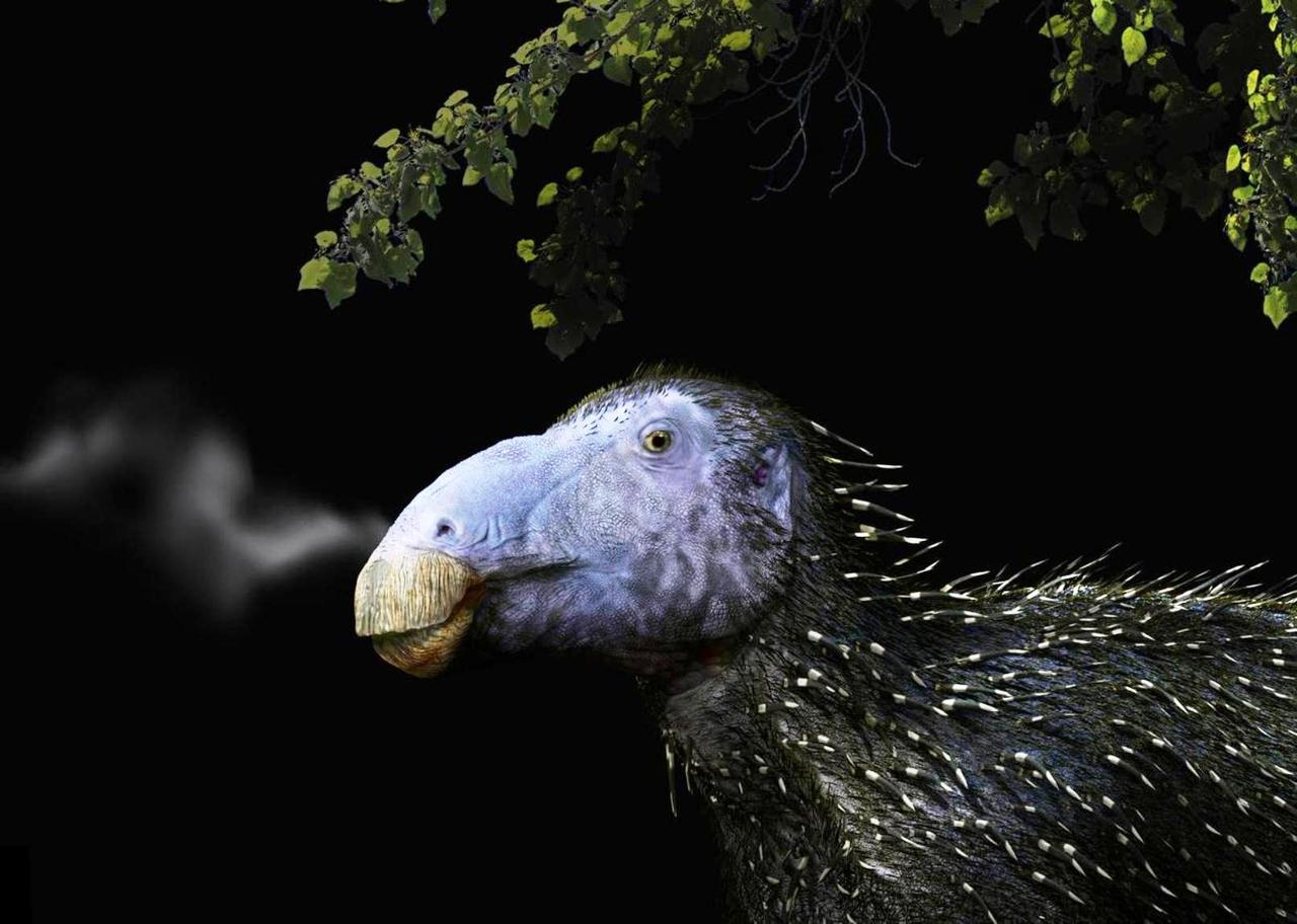 C’est du jamais-vu pour les paléontologues : ce dinosaure n'était pas couvert de plumes, mais de piquants !