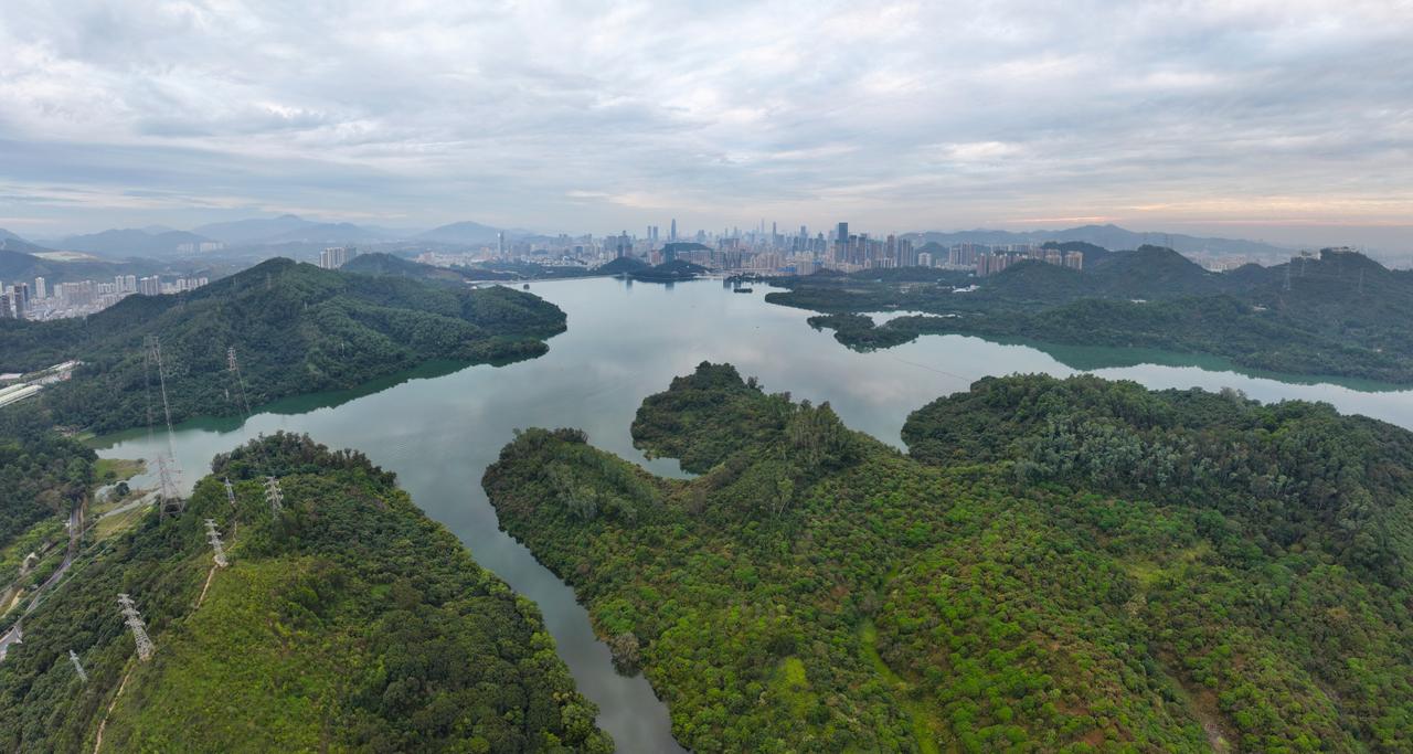 Une promenade hors du temps : en Chine, ce musée qui se fond dans la nature nous fait traverser l’histoire de la Terre