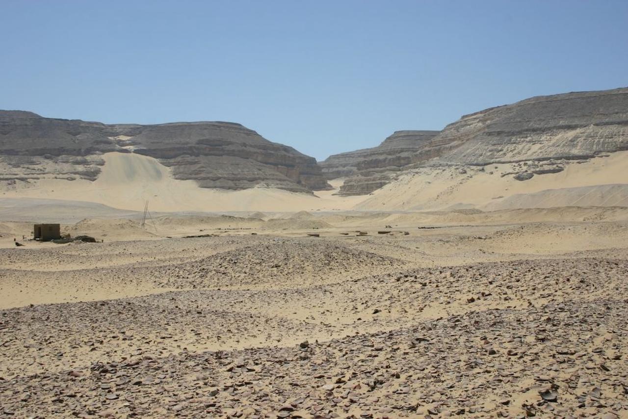 Égypte : ces crânes vieux de 5 000 ans pourraient enfin confirmer un terrible soupçon autour des premiers pharaons