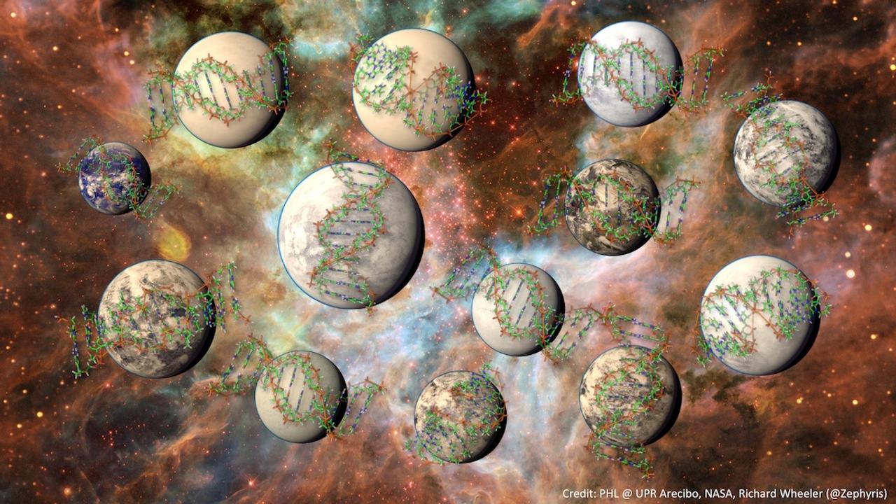 Illustration d’exoplanètes arborant une vie complexe, c&#39;est-à-dire, du point de vue d&#39;un Terrien, équivalent à nos multicellulaires plutôt qu&#39;à nos&amp;nbsp;bactéries. Selon l’étude du professeur Irwin et de ses collègues, elles seraient au minimum cent millions dans notre galaxie avec un indice favorable. © PHL, UPR Arecibo, Nasa, Richard Wheeler