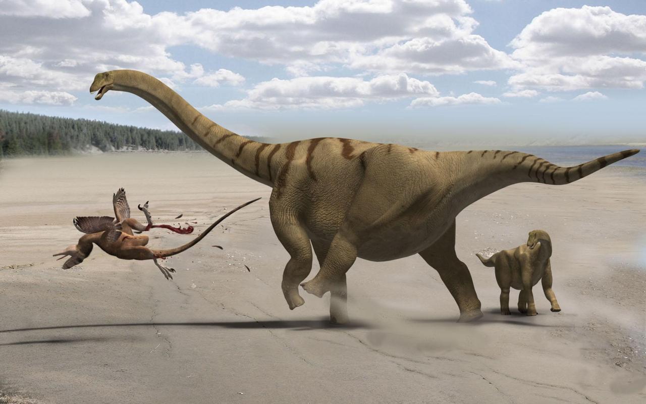 Brontomerus, un nouveau dino du tonnerre
