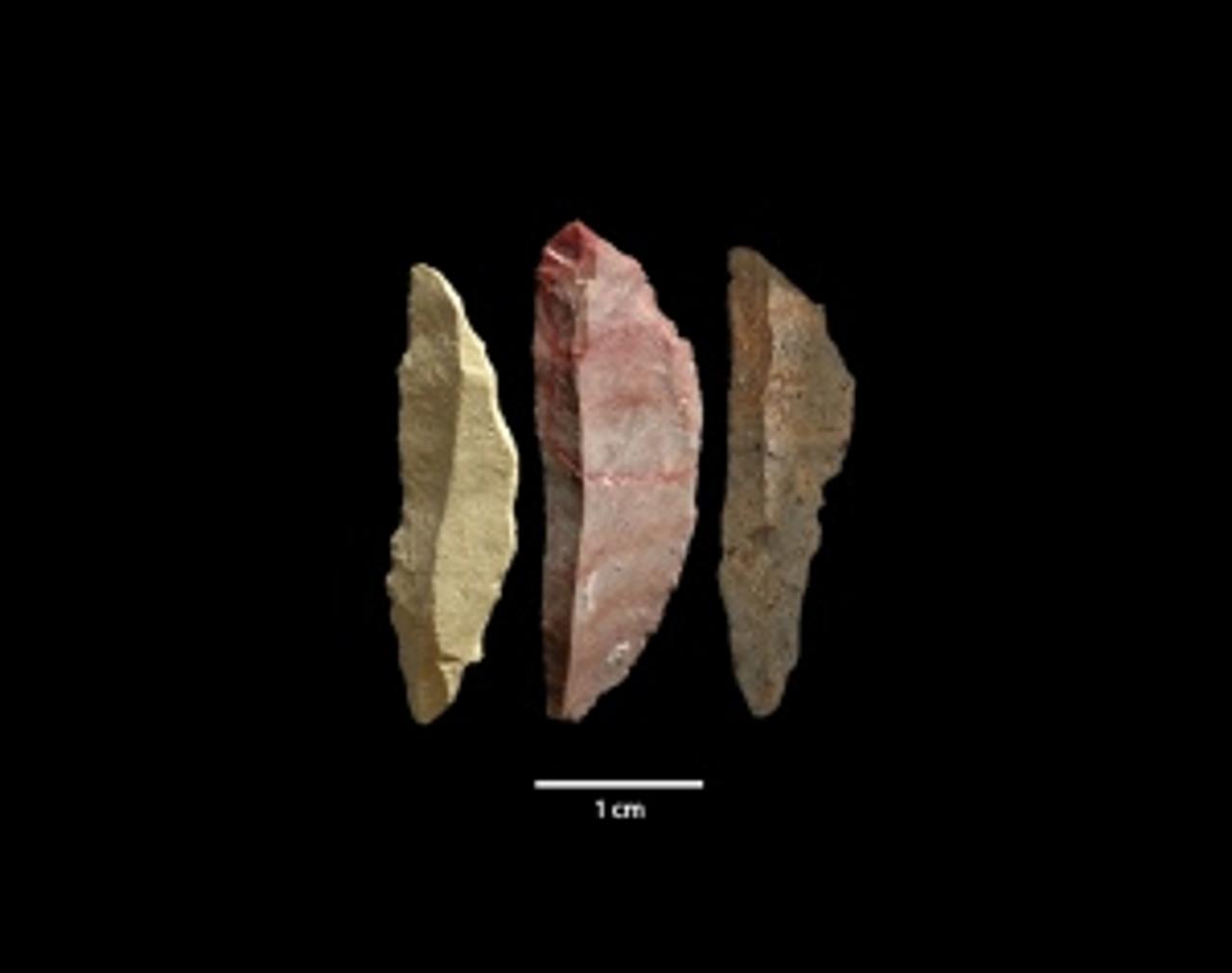 Trois lames découvertes près de Pinnacle Point en Afrique du Sud et datées de plus 70.000 ans. Pour parvenir à fabriquer de tels objets, il faut savoir discuter, expliquer, questionner, transmettre...&amp;nbsp;© Simen Oestmo