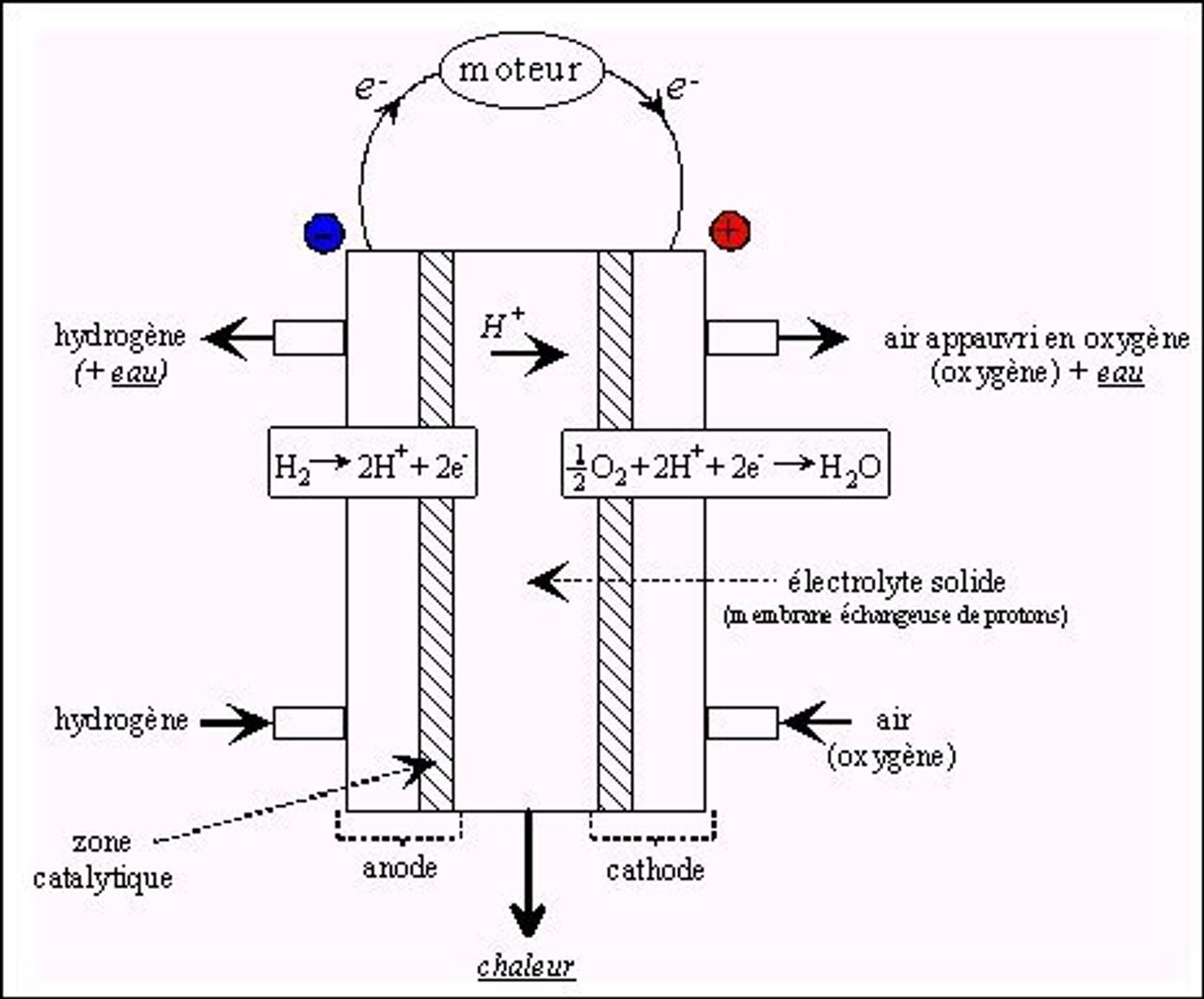 une-pile-combustible-microbienne-productrice-d-hydrog-ne