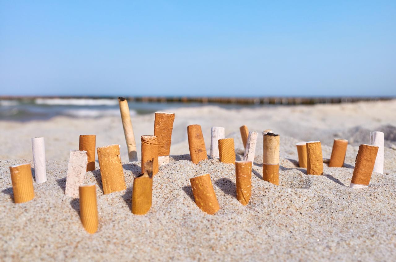 L'impact des mgots de cigarettes sur les milieux marins