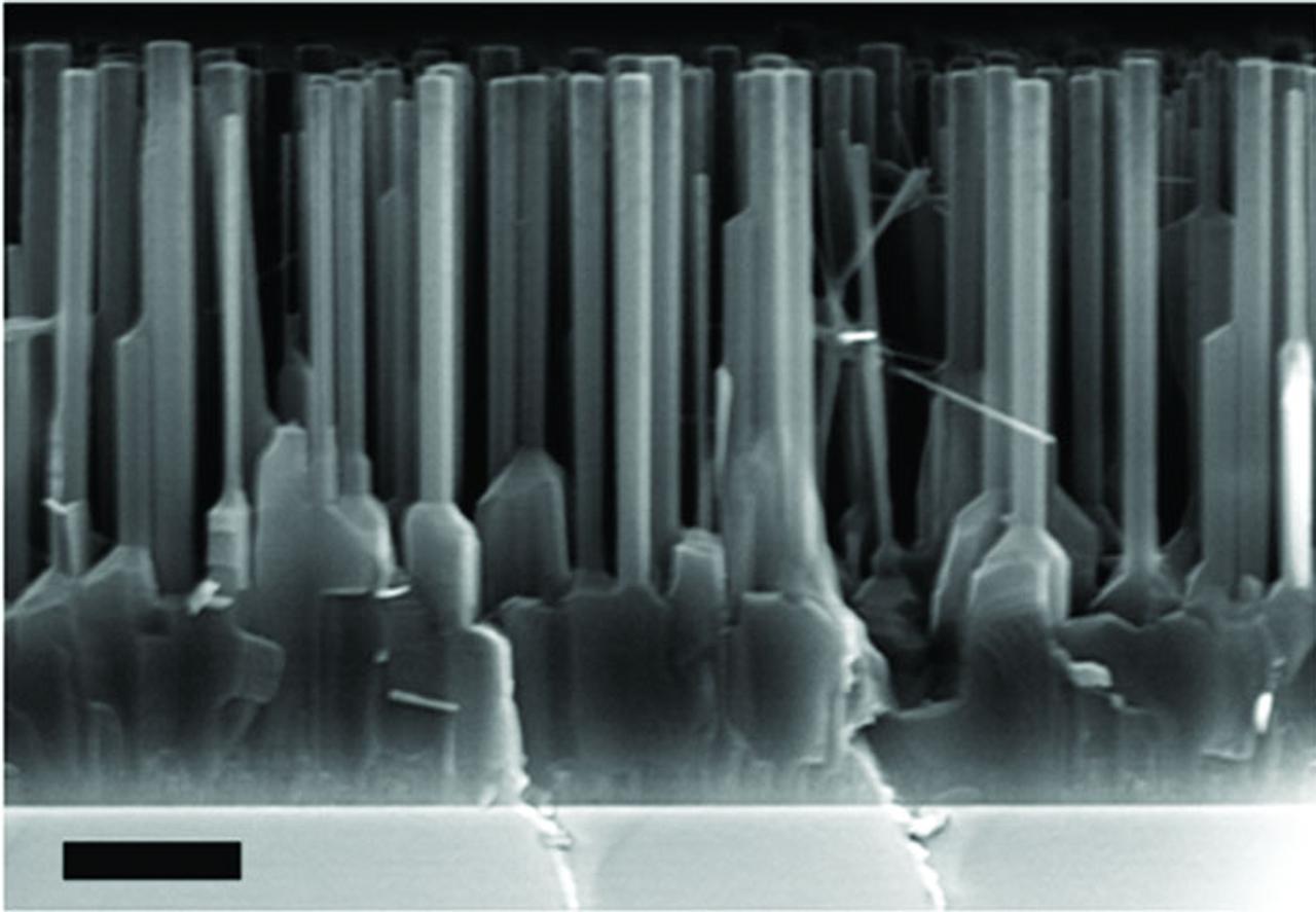 Alliage Mécanique avec des broyeurs à billes | Retsch, image size:1280x887