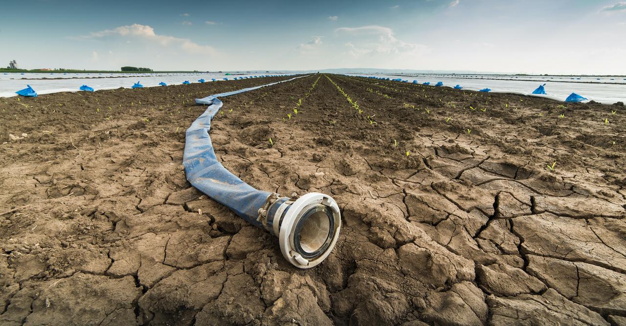 Sécheresse extrême : jusqu’où les restrictions d’eau pourraient-elles aller cet été ?
