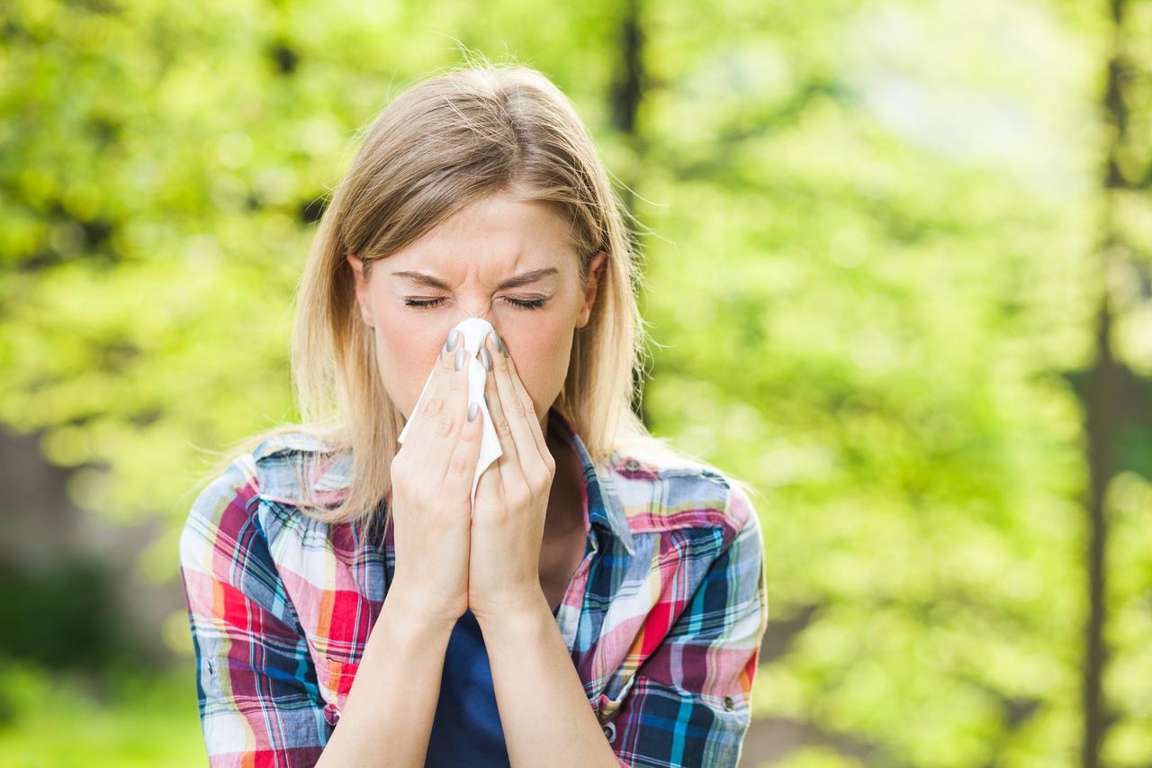Allergie au pollen : 10 plantes  viter