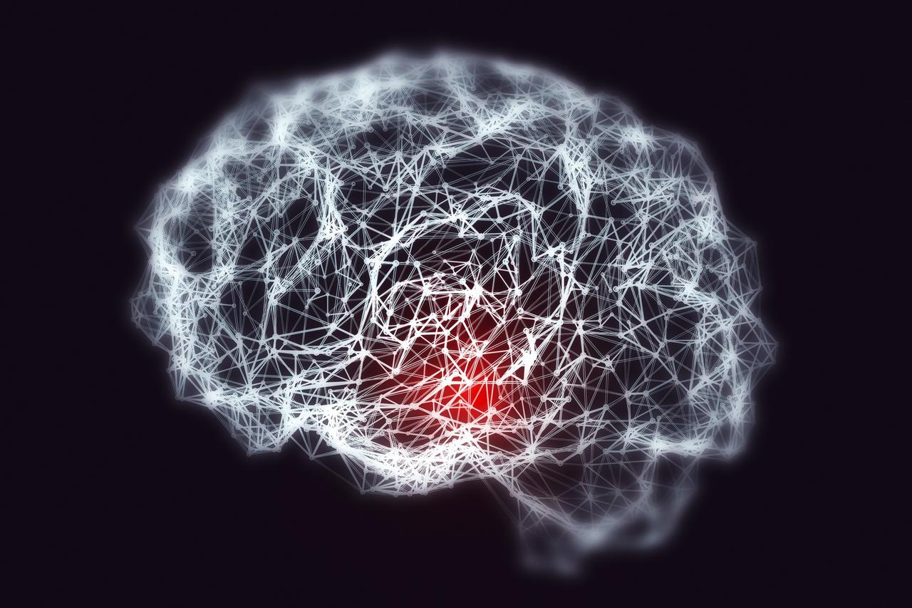 Comment la maladie d'Alzheimer progresse dans le cerveau