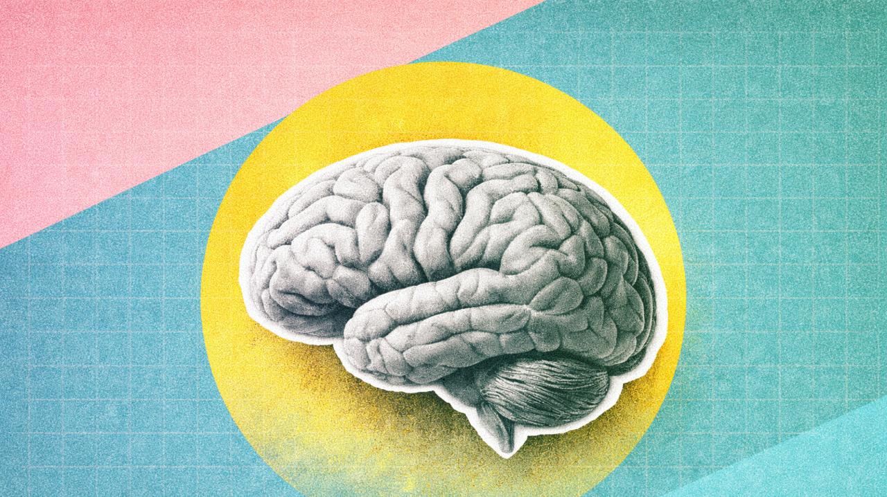 Alzheimer : votre taux de vitamine D à la quarantaine pourrait influencer votre cerveau des années plus tard