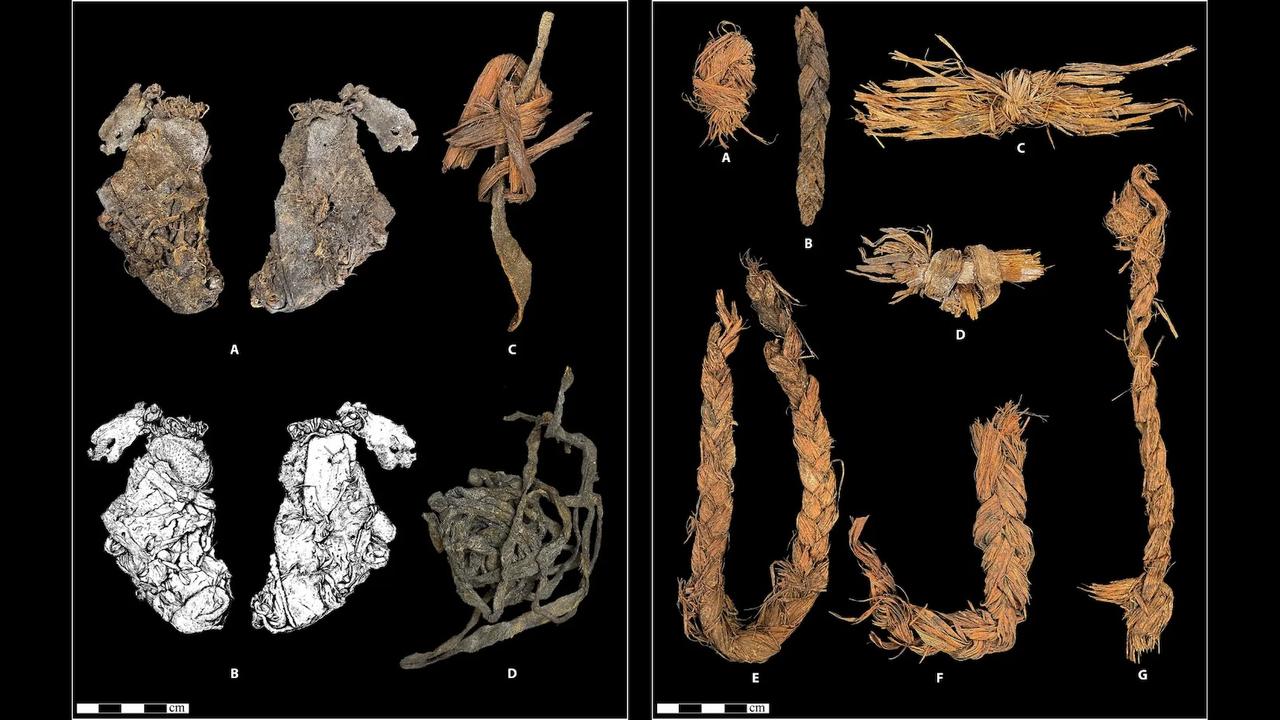 Des peaux cousues exhumées en 1950 pourraient réécrire l'origine du vêtement : Science Advances publie les preuves