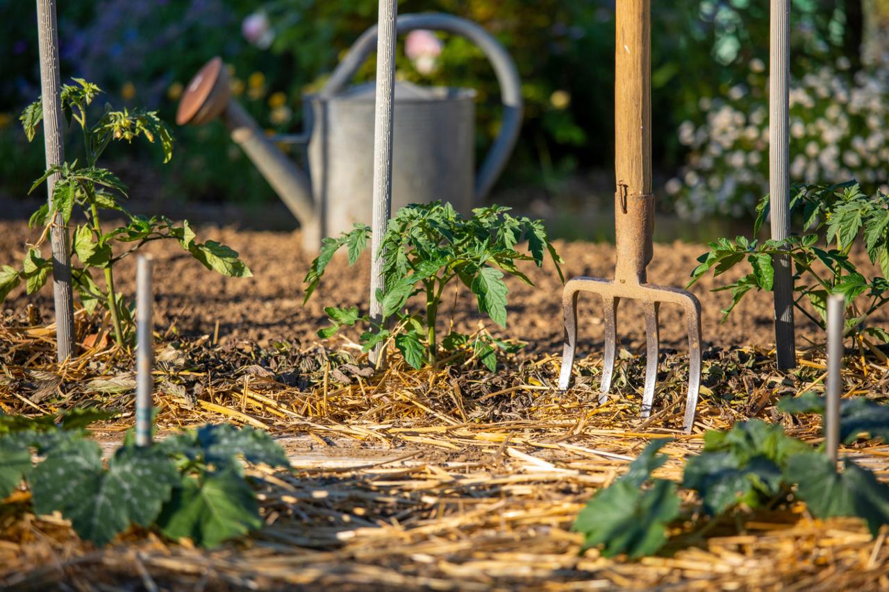 Votre jardin a soif, mais il ne faut pas l’arroser n’importe quand : les bons réflexe pendant la canicule selon les pros