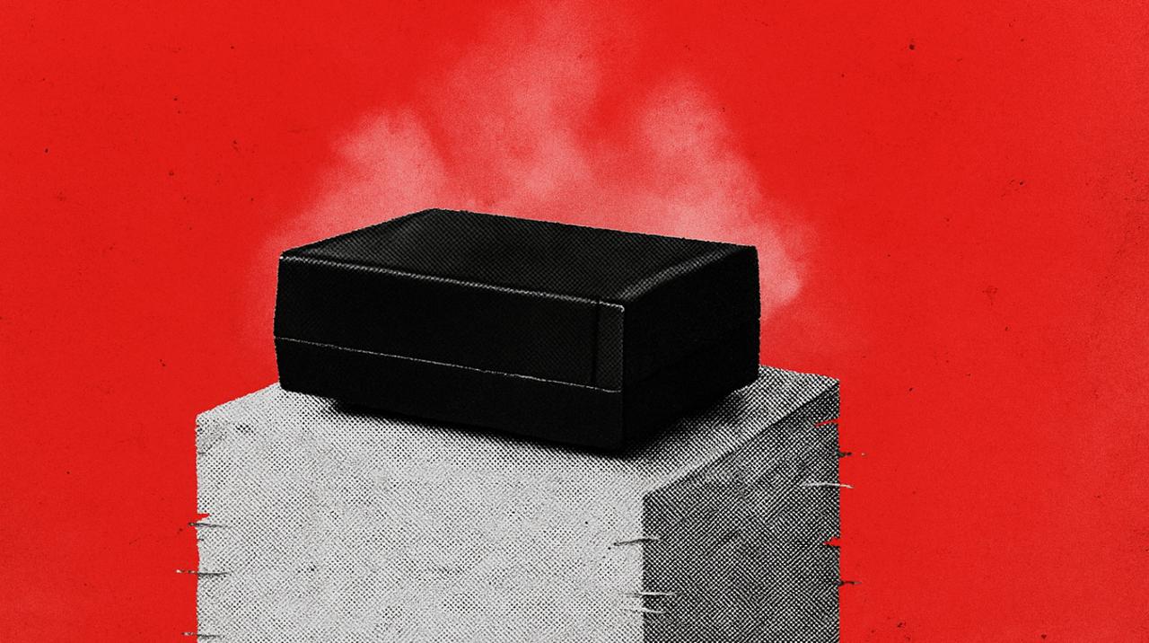 Les propriétaires de la Nintendo Switch pourront bientôt jouer de nouveau à ce gadget des années 1990. © Nintendo