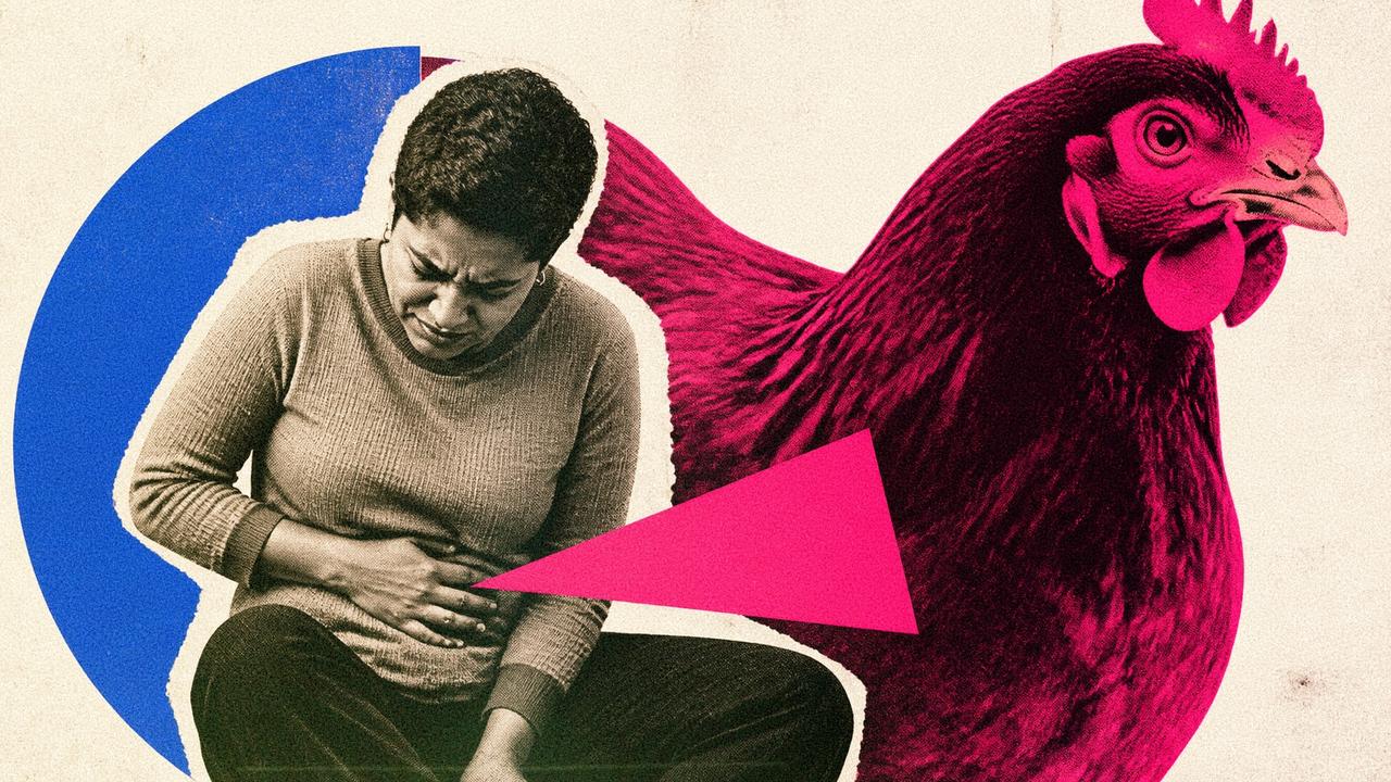 Poulet industriel : la circulation de cette bactérie responsable de gastro-entérites explose, révèle une vaste étude