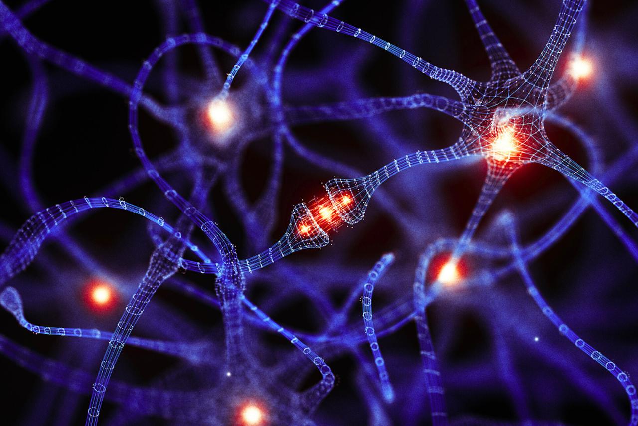 Alzheimer : une cellule du cerveau méconnue pourrait tout changer