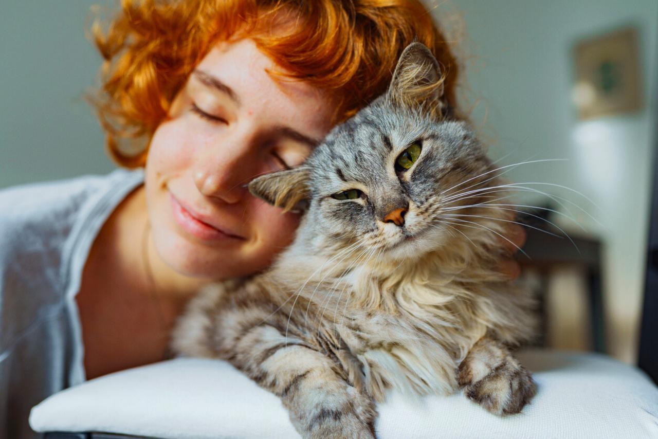 La mémoire féline intrigue les éthologues. © Larisa Stefanuyk, iStock