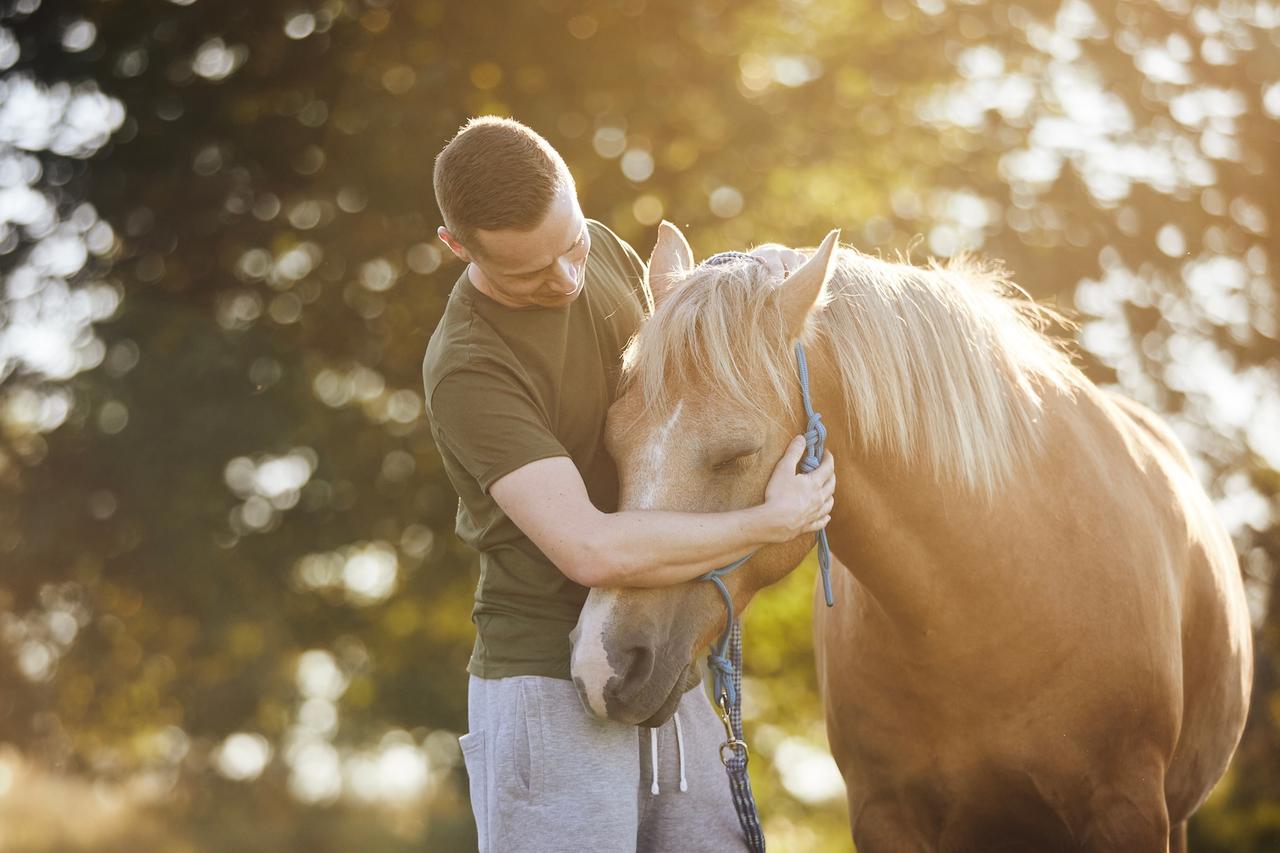 Des chercheurs apprennent des chevaux à « parler » : et s’ils pouvaient enfin nous dire ce qu’ils ressentent ?