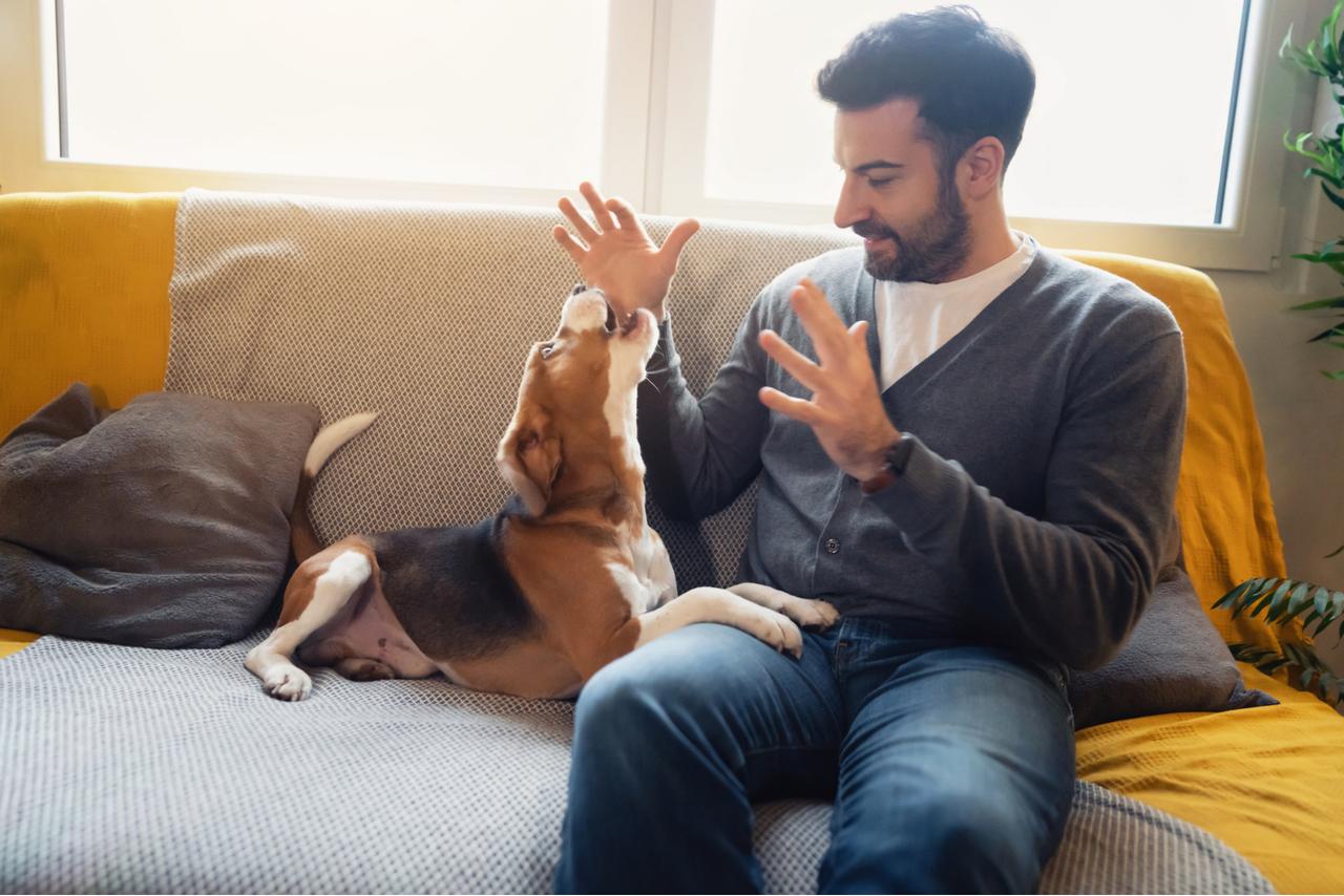 Pourquoi votre chien n’aime pas certaines personnes ? La science révèle ce qu’il perçoit vraiment
