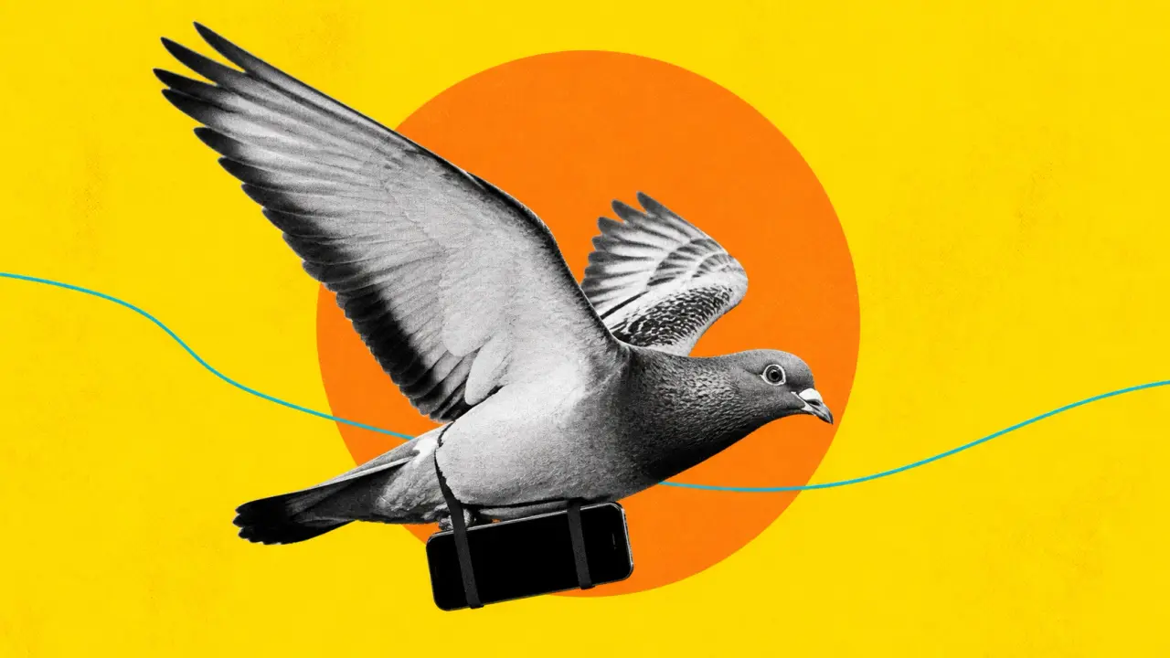 « Un pigeon est en route » : cette appli fait patienter vos messages pendant des heures… et son succès est fulgurant !