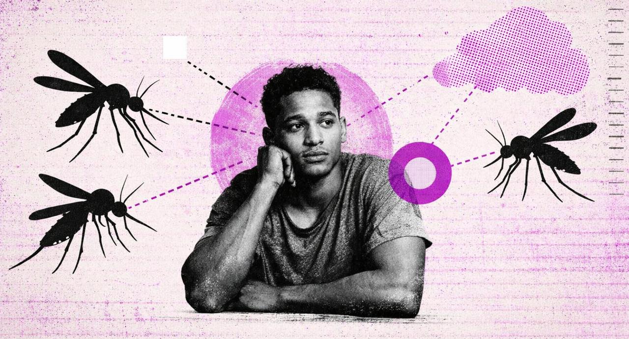 Une expérience inédite avec des moustiques : résultats et implications