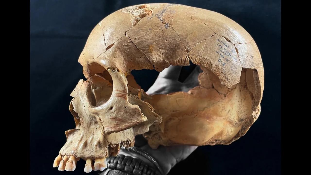 Des crânes transformés en coupes et des os découpés : ce que révèlent trois grottes du Néolithique dans cette région d’Europe