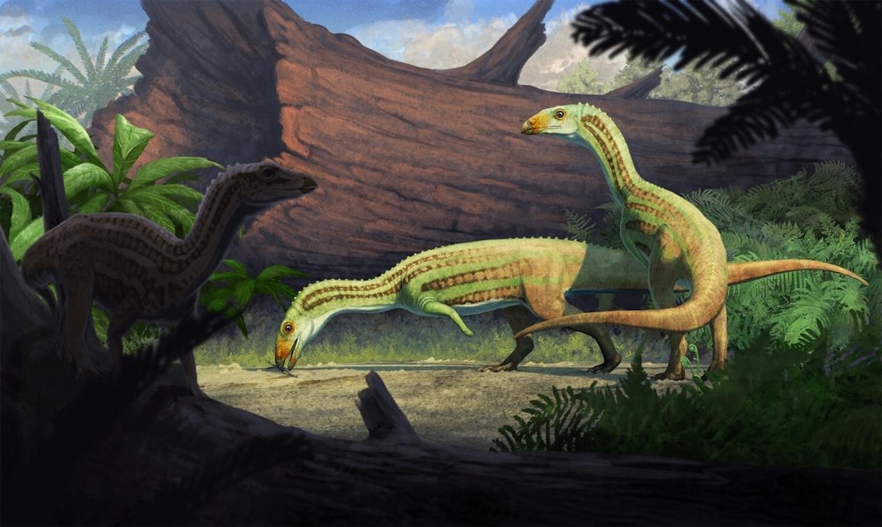 Cet ancien parent du crocodile aurait commencé sa vie à quatre pattes... pour la finir sur deux