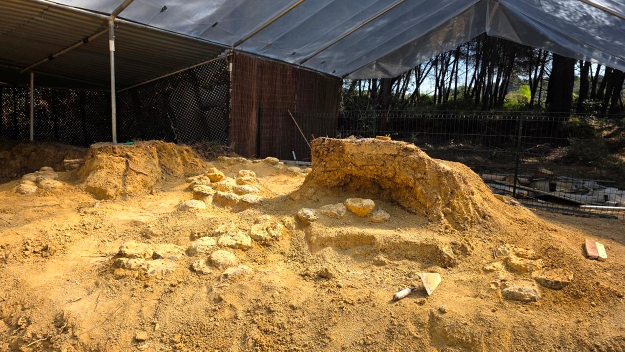 « Je n’avais jamais vu ça » : un paléontologue raconte la découverte d’un site record de plus de 100 œufs de dinosaures dans le sud de la France