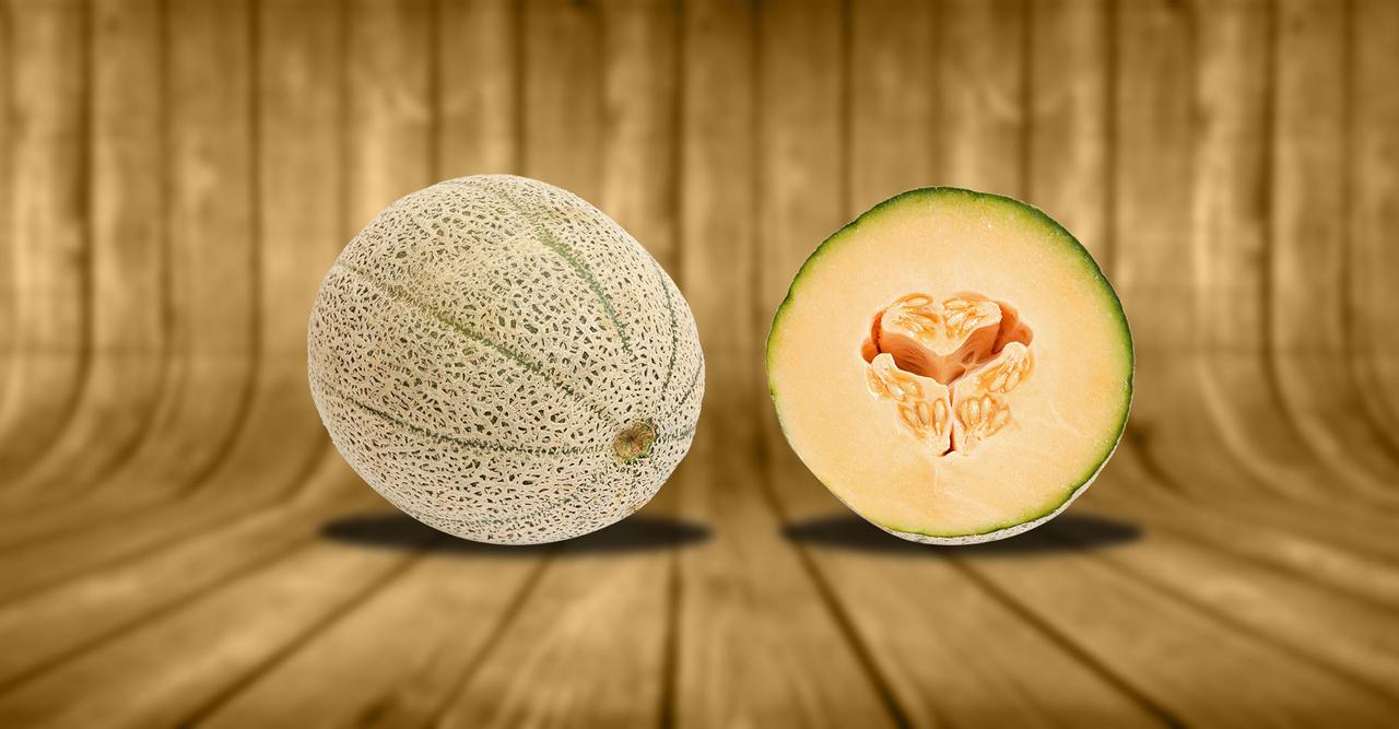 Le melon Cantaloup, melon de Cavaillon