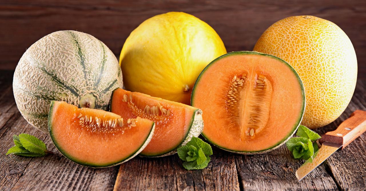 Le melon, un délicieux fruit de saison