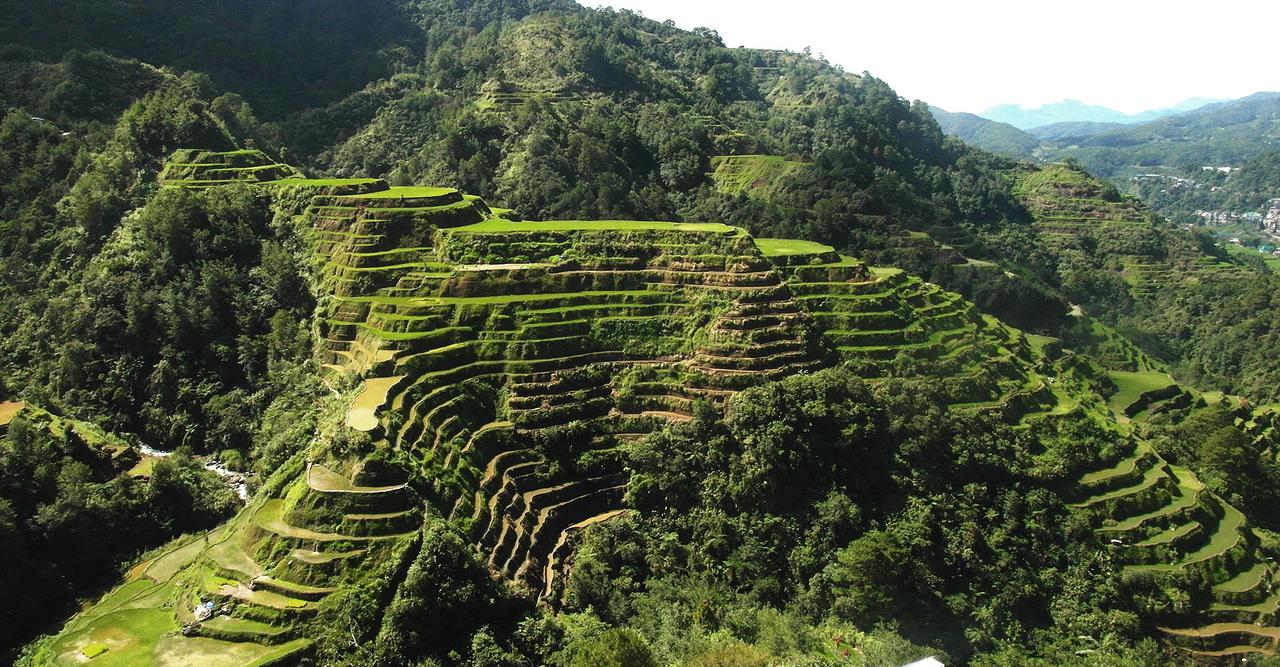 The Complete Farmer's Guide to Humics, Humic Acid, and Fulvic Acid -  Monty's Plant Food, image size:1280x667